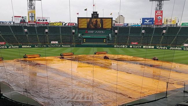 阪神タイガース - 5月21日 甲子園 阪神vs 巨人 グリーンシート通路側2